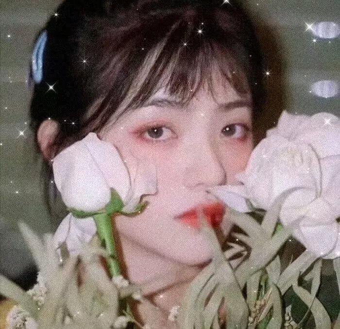 单身公寓2